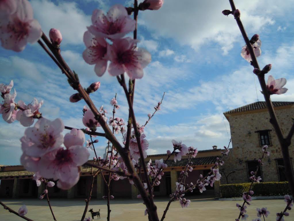 Hotel Rural La Moragona Vara Del Rey Esterno foto